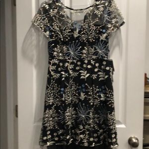 Adrianna Papell embroidered fit and flair dress 10